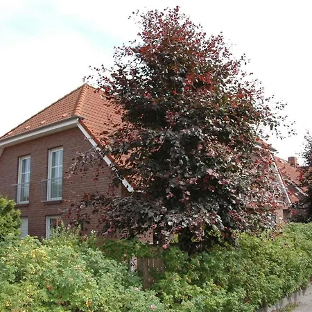 No 8 In Haus Windhuk